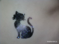 Best Nails - fekete macska fehér csíkkal